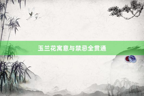 玉兰花寓意与禁忌全贯通