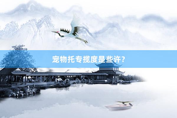宠物托专揽度是些许?