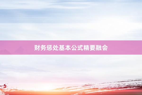 财务惩处基本公式精要融会
